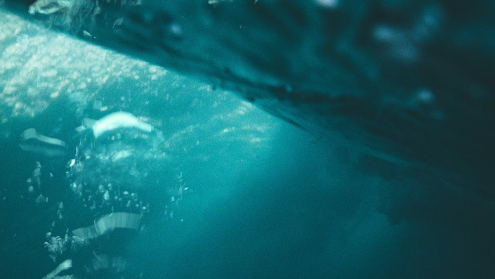 Ocean Cinematic Creator Pack